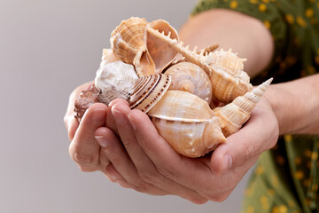 woman with shells isolated on white