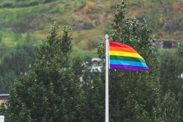 Pride flag waving in the wind with trees in the background