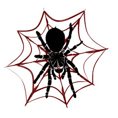 vector image of a tarantula with cobwebs.
