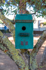 Cute little blue birdhouse hanging on a tree