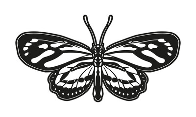 butterfly logo on white background