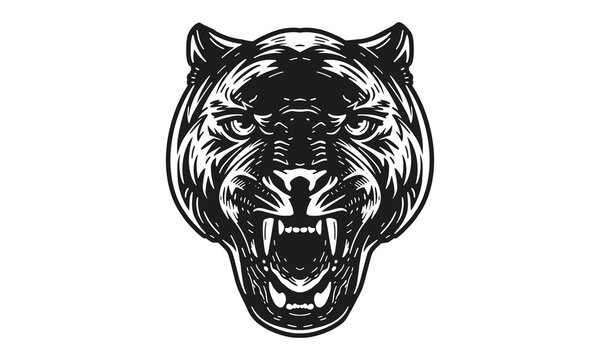 Black panter head illustration, vector, hand drawn, isolated on light background.