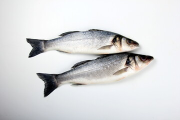 Raw sea bass fish , ice cubes and lemon on white background