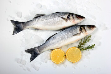Raw sea bass fish , ice cubes and lemon on white background