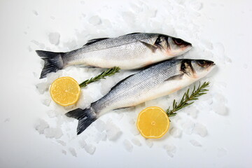 Raw sea bass fish , ice cubes and lemon on white background