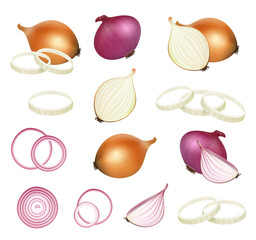 Natural onion. Kitchen healthy food sliced vegetables for eating salad decent vector realistic products illustrations onion