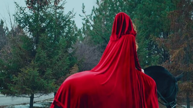 Medieval woman princess in red dress sits astride black steed horse. Girl rider in vintage hood, velvet cloak cape train. Background green trees spruce forest spring winter nature snow. Back rear view