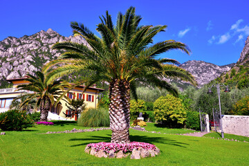 park villa boghi limone sul Garda Italy