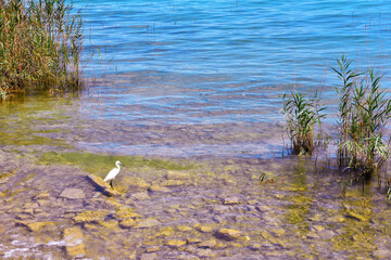 panorama of Limone sul Garda province of Brescia Italy