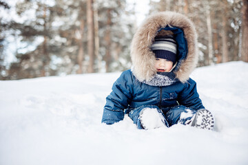 Portrait of child sitting in snow in spruce forest. Little kid boy having fun outdoors in winter nature. Christmas holiday. Cute toddler boy in blue overalls and knitted scarf and cap walking in park.