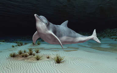 Delfin in einer Unterwasserlandschaft © Michael Rosskothen