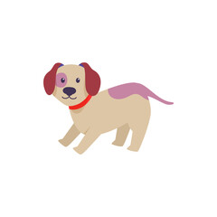 pet dog vector illustration design on white background