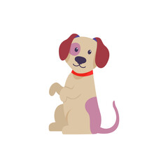 puppy sit vector illustration design on white background