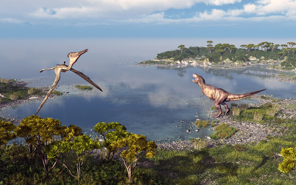 Flugsaurier Pterodactylus und Dinosaurier Tyrannosaurus Rex in einer Küstenlandschaft