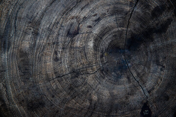 Fototapeta premium Black Wooden structural surface. Top view.