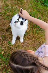 rabbit Girl with rabbit hare animals
