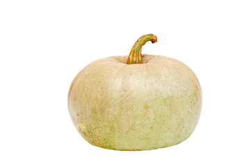 Pumpkin isolated on white background