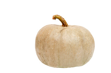 Pumpkin isolated on white background