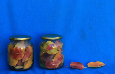 Autumn leaves in jars on a blue background. Preservation. Saving memories.