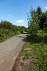 country Lane