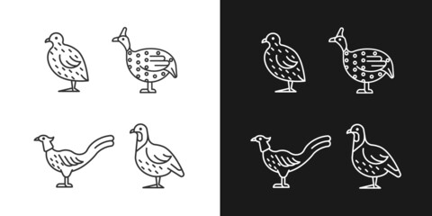 Landfowl linear icons set for dark and light mode. Japanese quail. Pheasant family. Guinea fowl. Customizable thin line symbols. Isolated vector outline illustrations. Editable stroke