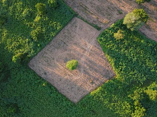Foto op Canvas Aerial photograph of green agricultural plots with vacant land waiting to be planted © BNMK0819