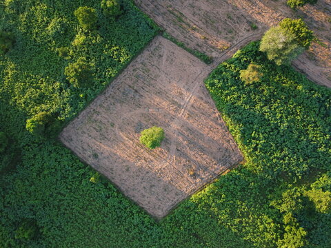 Aerial photograph of green agricultural plots with vacant land waiting to be planted