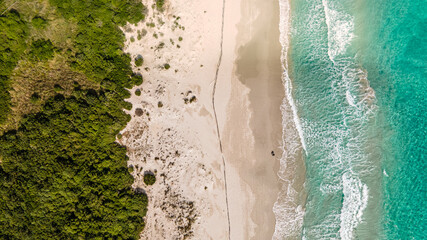 drone, bird's eye view enchanting white beach with clear blue water and thriving laurel bushes. italy