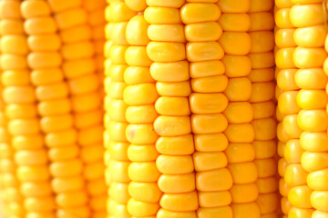 details shot of Sweet corns on table 