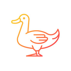 Domestic duck gradient linear vector icon. Poultry farming industry. Domestic bird raising for meat, eggs and down. Thin line color symbol. Modern style pictogram. Vector isolated outline drawing