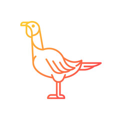 Female turkey gradient linear vector icon. Poultry farming. Domestic bird growing for meat. Thanksgiving dinner. Thin line color symbol. Modern style pictogram. Vector isolated outline drawing