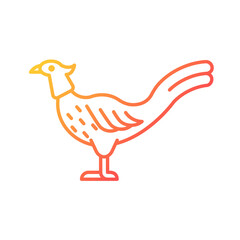 Male pheasant gradient linear vector icon. Commercial poultry farming for food. Ringneck cock. Long feathered tail. Thin line color symbol. Modern style pictogram. Vector isolated outline drawing