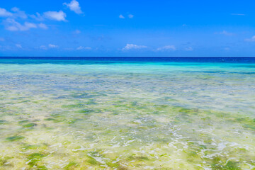View on Indian ocean at the Zanzibar island