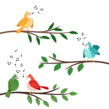 Bird songs. Singing birds friends on tree branches, birdes cartoon musical baby background, romantic couple banner, little birdie whistle song cute vector illustration isolated