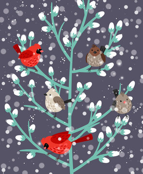 Winter birds branch. Beauty mistletoe red cardinal and sparrow birdes holly xmas wallpaper, snow wildlife forest vector illustration, snowy holiday wintergift wallpapers drawing scene