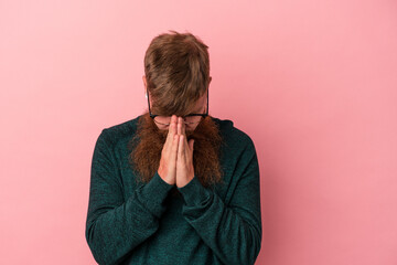 Young caucasian ginger man with long beard isolated on pink background praying, showing devotion,...