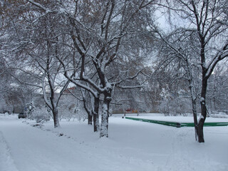 winter in the park