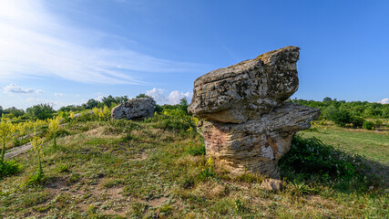 The Dobrovan Stone Mushrooms are bizarre rock formations located in the Eastern Stara Planina, about 10 km from the village of Sini rid, Bulgaria