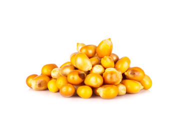 popcorn seed isolated on white background