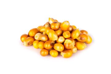 popcorn seed isolated on white background