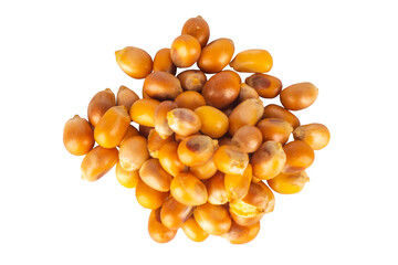 popcorn seed isolated on white background