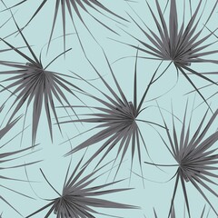 Tropical seamless pattern with exotic black white fan palm leaves. Blue background.