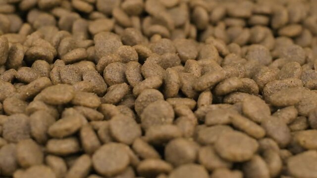 Still shot over pet dry food close-up slowly moving in big pile of dod pellets