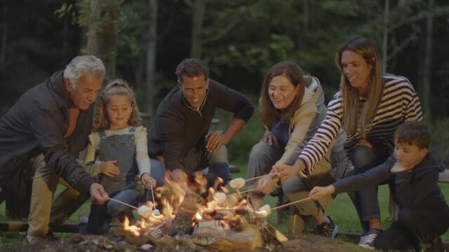 Wide Shot of Family Toasting Marshmallows On Campfire