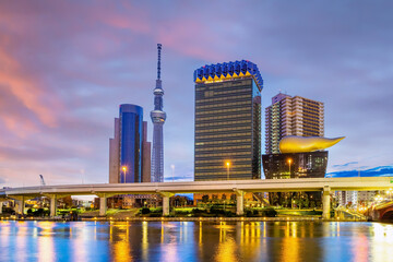 Fototapeta na wymiar Tokyo skyline in Japan on the Sumida River