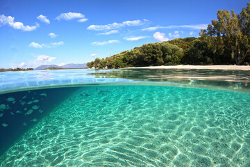 Underwater split photo of famous bay and sandy turquoise beach of Fanari with crystal clear calm sea and rich aquatic life in Ionian island of Meganisi, Greece