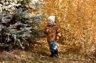 A happy little child, laughing and playing in the fall on a nature walk in the open air. The concept of childhood and the season