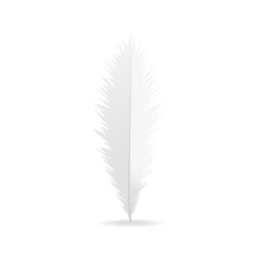 Realistic feather isolated on white background. Realistic feather for web site, wallpaper, poster, placard, cover and print materials. Creative art concept, vector illustration, eps 10