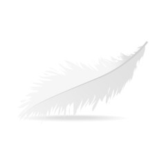 Realistic feather isolated on white background. Realistic feather for web site, wallpaper, poster, placard, cover and print materials. Creative art concept, vector illustration, eps 10
