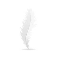 Realistic feather isolated on white background. Realistic feather for web site, wallpaper, poster, placard, cover and print materials. Creative art concept, vector illustration, eps 10